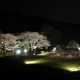 Ishibutai Cherry Blossom